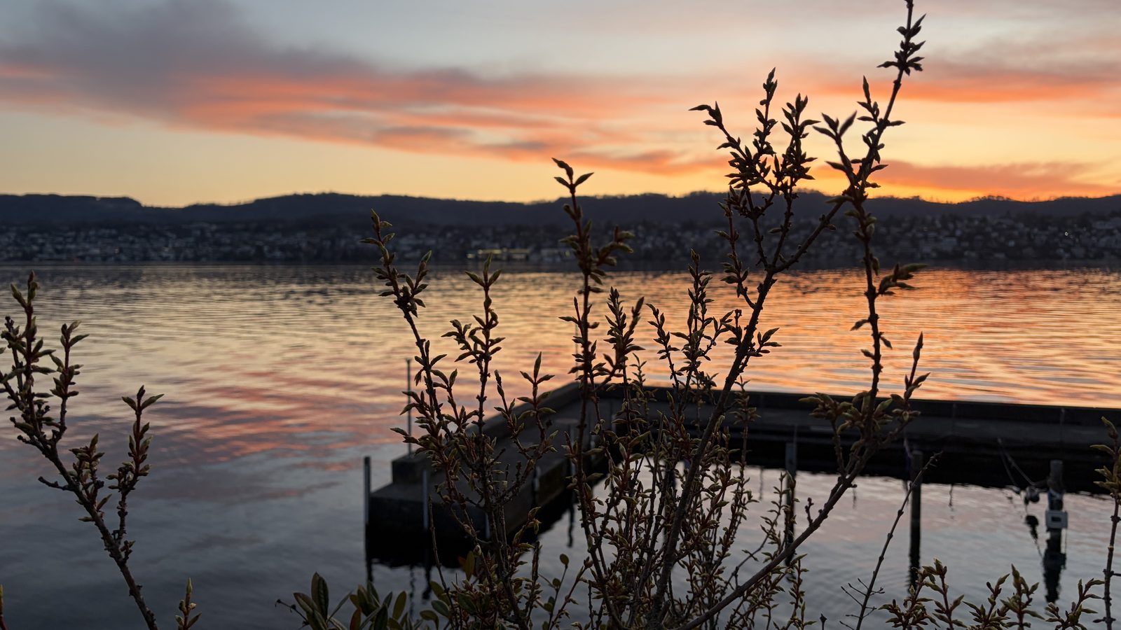 Weg am See im Wechsel der Jahreszeiten (illustrativ).